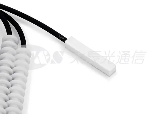 FBG Temperature Sensor (T09/T10)